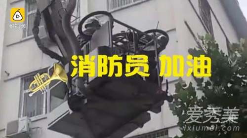 两辆小黄车被挂树稍 消防员解救图片 为什么共享单车被破坏