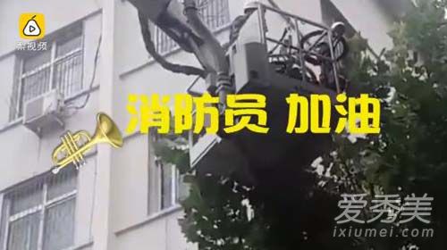 两辆小黄车被挂树稍 消防员解救图片 为什么共享单车被破坏