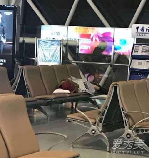 张天爱为什么睡机场是炒作吗  张天爱睡机场图片