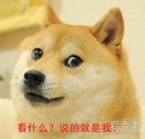 林更新被狗咬是怎么回事 被狗咬了之后该怎么办