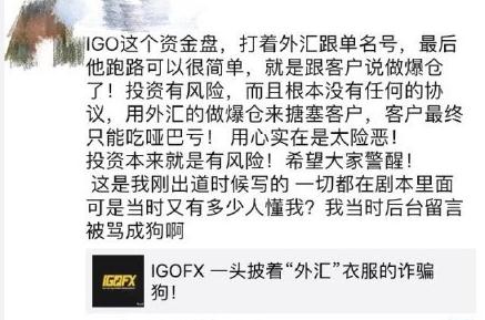 lgofx张雪娇是谁 lgofx张雪娇诈骗案事件始末