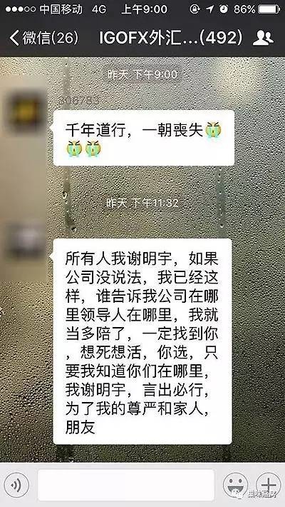lgofx张雪娇是谁 lgofx张雪娇诈骗案事件始末