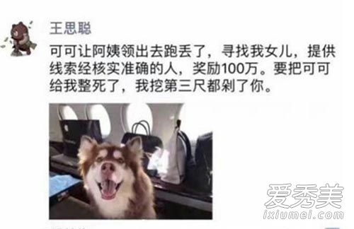 人不如狗系列:王思聪百万悬赏寻找王可可 王可可近照图片