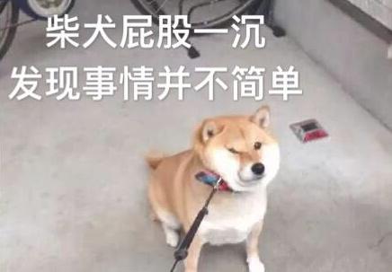 发现事情并不简单什么梗 发现事情并不简单表情包