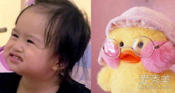 玻尿酸鸭为什么说像包贝尔的饺子?玻尿酸鸭饺子图片表情包