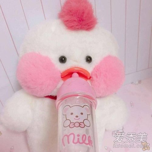 玻尿酸鸭哪里有卖 cafemimi玻尿酸鸭在哪儿可以买到