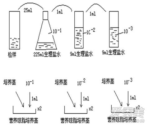 化妆品究竟有多脏 化妆品细菌超标检测方法