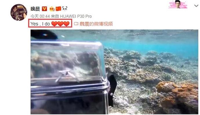 魏晨女友个人资料介绍 曾经意图出道但却失败了
