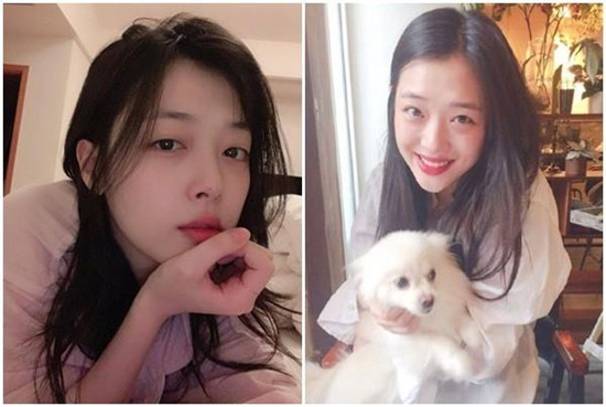 韩国政府有望推出雪莉法 雪莉法出台时间？用来干什么的？