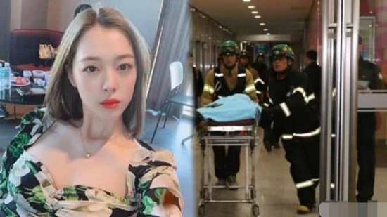 韩国政府有望推出雪莉法 雪莉法出台时间？用来干什么的？