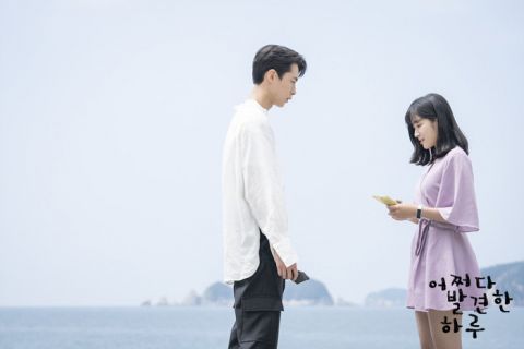 偶然发现的一天一共几集 偶然发现的一天电视剧什么时候更新