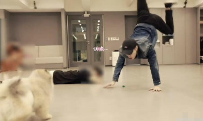 张艺兴倒立训狗 网友调侃到底是人玩狗还是狗玩人