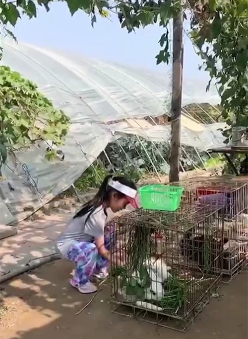 李小璐带甜馨外出什么情况 李小璐带甜馨外出干什么