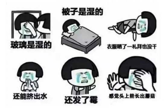 潮房贵族什么意思 潮房贵族的意思及出处介绍