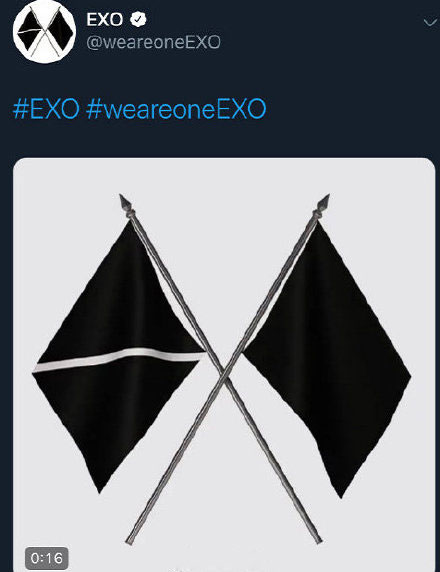 EXO更新LOGO 新标志为双面旗帜