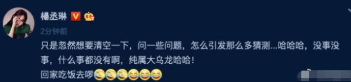 杨丞琳回应婚变 一系列操作的原因真的是这样吗