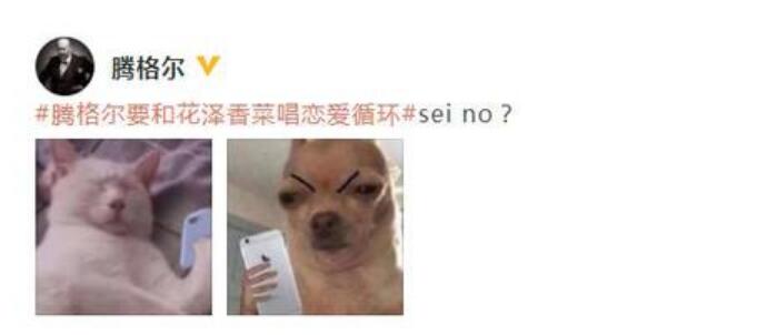 腾格尔要和花泽香菜唱恋爱循环 网友表示画面辣眼