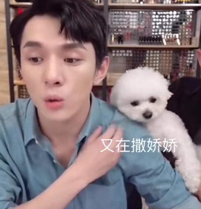 李佳琦什么时候卖狗啊什么梗 李佳琦直播一窝小狗简直太可爱