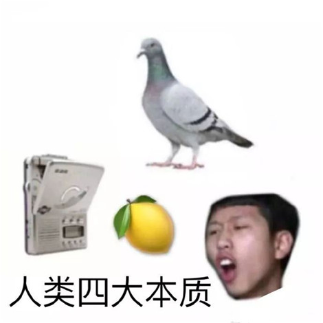 柠檬树上柠檬果，柠檬树下你和我是什么意思？
