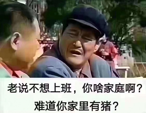 网络用语“难道你家里有猪”是什么意思？