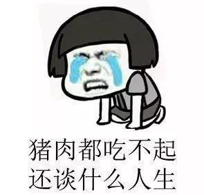 网络用语“难道你家里有猪”是什么意思？
