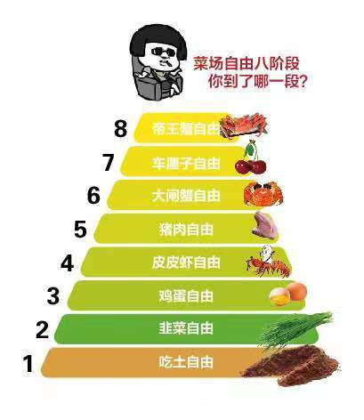 网络用语“难道你家里有猪”是什么意思？