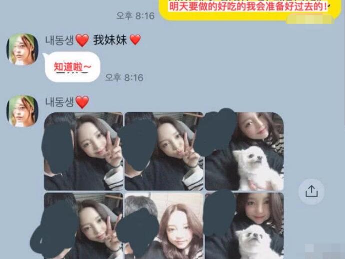 具荷拉哥哥聊天记录 哥哥拜托荷拉不要有不好的想法