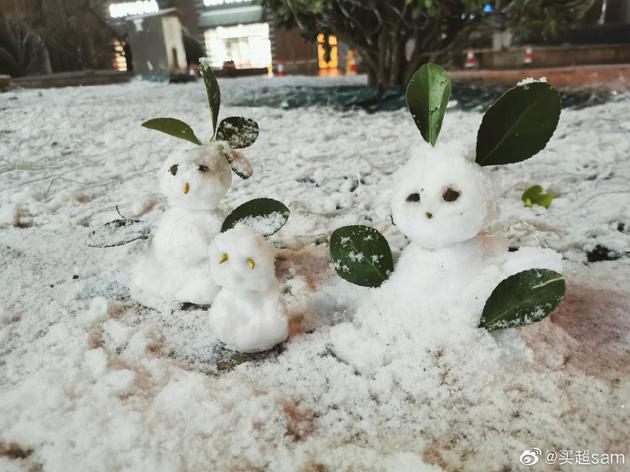 买超与张嘉倪雪中接吻 网友：又来撒狗粮！