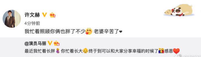 马丽承认怀孕 马丽怀的是男宝宝还是女宝宝