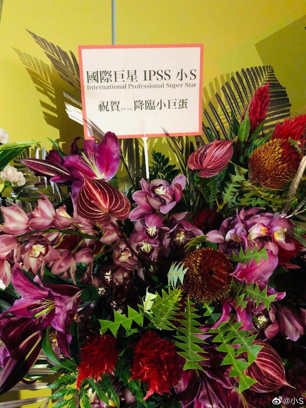 小S给蔡依林送的花篮亮了 贺卡一个细节笑翻网友