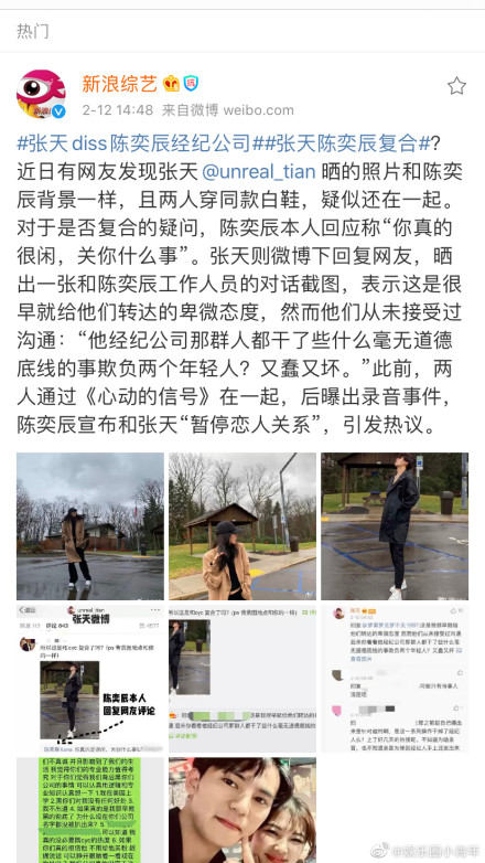 张天陈奕辰复合?回复网友称:你真的很闲