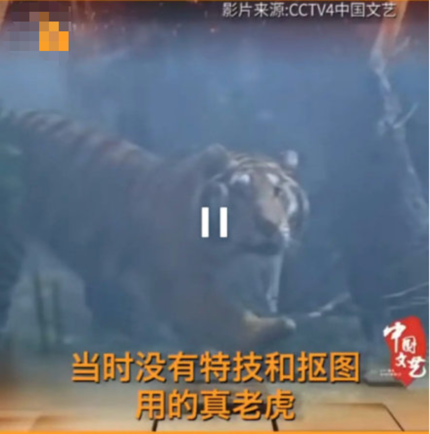 武松打的是真老虎！网友震惊：向老一辈艺术家致敬