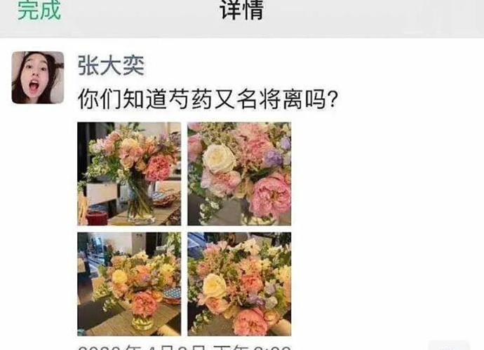 张大奕为什么叫张三 张大奕芍药又名将离什么意思