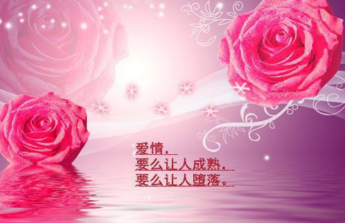 总裁霸爱不休姜南傅宁泽by佚名
