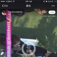 宋仲基宋慧乔婚礼直播在哪里可以看