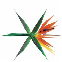 exo主打歌kokobop是什么意思 exo新专辑为什么是8片叶子?