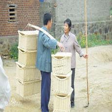 邵晓薇