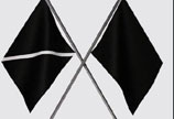 EXO更新LOGO 新标志为双面旗帜