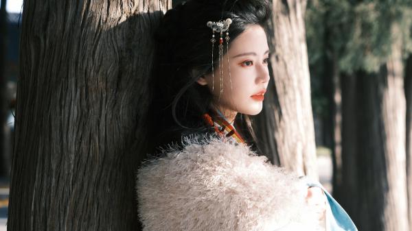 洛宁结局小说(洛宁景皓)章节阅读