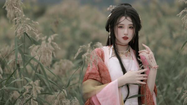 李桂芳林晋谦全文免费无弹窗 刁仆不清醒章节试读