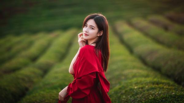 乔笙顾裴西主角的书 等一个笙笙不息：全章节+番外全文阅读免费