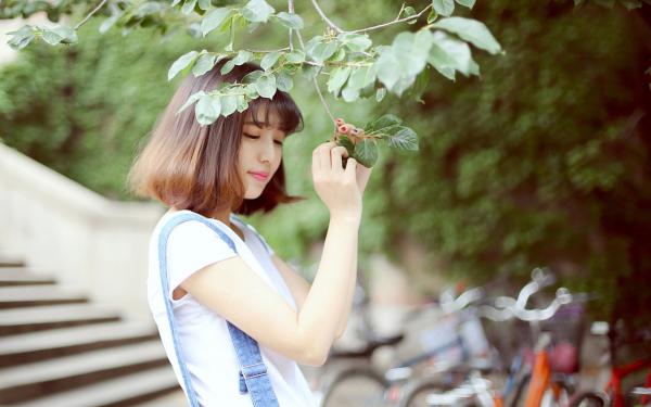 林默言苏晚主角的书 妻子助理合同少零,我不干了全文阅读免费