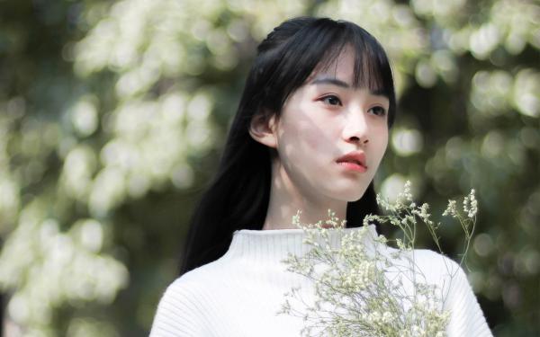 杨帆扶摇小说 杨帆扶摇免费章节阅读