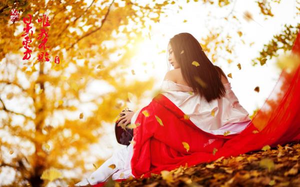 离婚后，废物前妻惊艳全球免费无弹窗 季文轩云澜小说阅读
