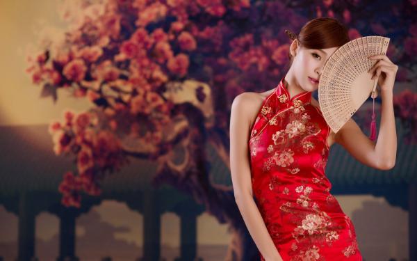晓婷张丽无弹窗 对亡夫的自血病儿子见死不救：小说全文+后续晓婷张丽全文免费阅读