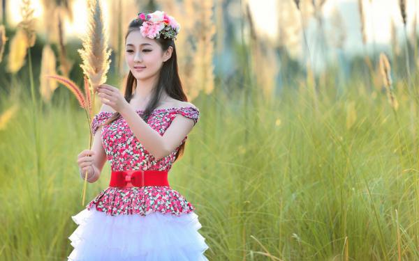 忘忧萧锦安许知夏是啥小说 忘忧萧锦安许知夏免费阅读无广告