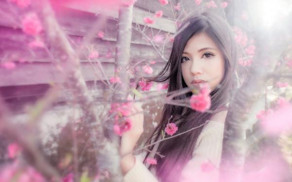 重生后我不再阻拦女儿奔向恶毒后妈李萌萌林菲免费章节试读