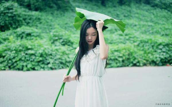 云苒晏修鄞结局是什么 云苒晏修鄞免费阅读全文