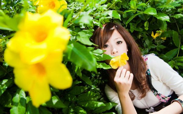 丑女被退婚后，她成了极品炼丹师白茯苓辛念薇全文阅读(完整版)