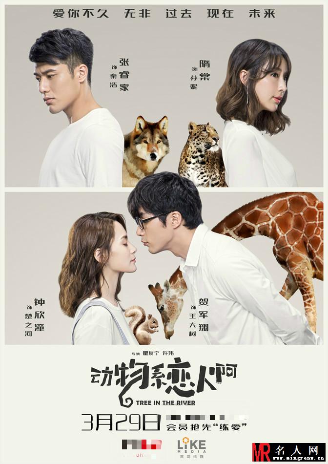 《动物系男友》发布“白色甜蜜版”海报 钟欣潼情定贺军翔(1)